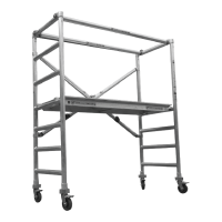 Scaffoldings